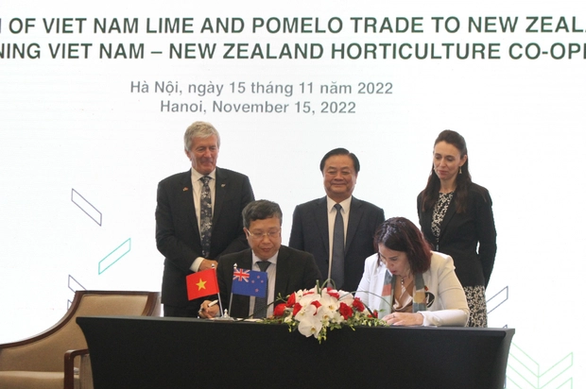 Chanh, bưởi của Việt Nam chính thức sang New Zealand - Ảnh 1.