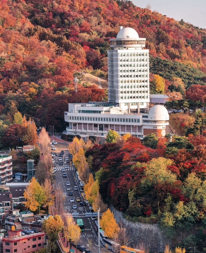 Choáng ngợp khung cảnh mùa thu Hàn Quốc, lá vàng lá đỏ rực sắc đẹp như phim - Ảnh 6.