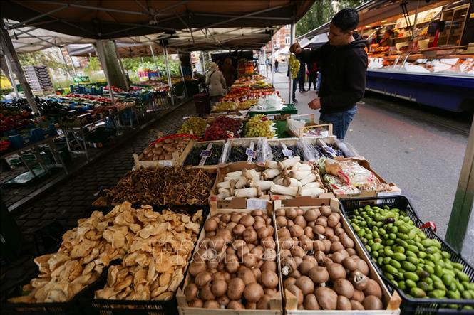 Châu Âu trong cơn bão lạm phát - Ảnh 2.