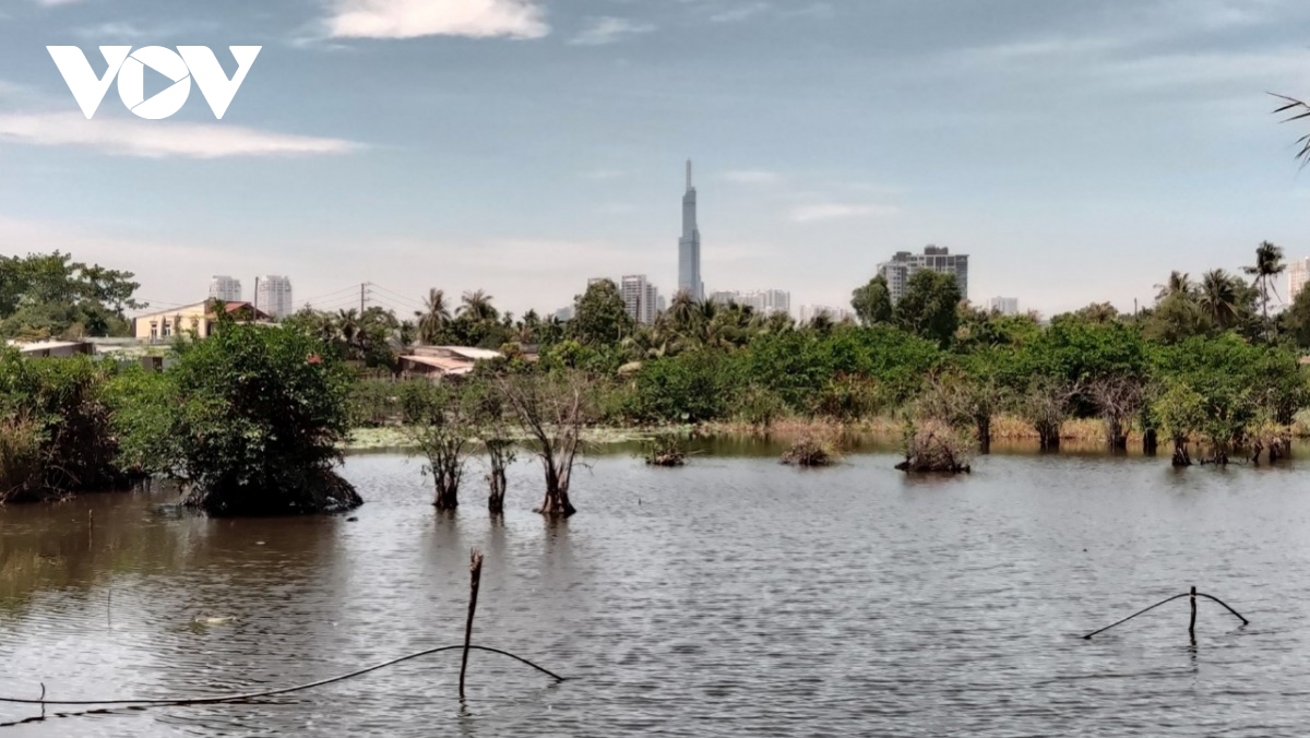 Nhiều dự án ở TP.HCM “long đong” hàng chục năm - Ảnh 2.