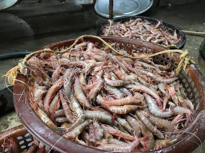 Nghề bóc vỏ tôm, cứ tay nhanh là tiền nhiều - Ảnh 4.