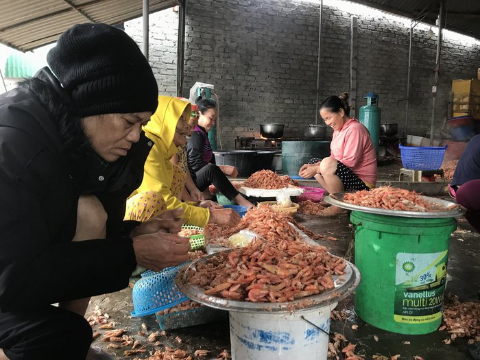 Nghề bóc vỏ tôm, cứ tay nhanh là tiền nhiều - Ảnh 3.