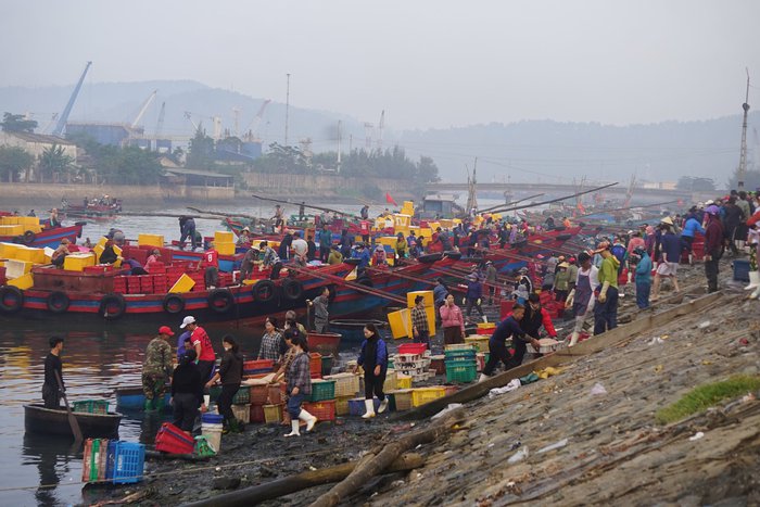 Nghề bóc vỏ tôm, cứ tay nhanh là tiền nhiều - Ảnh 1.