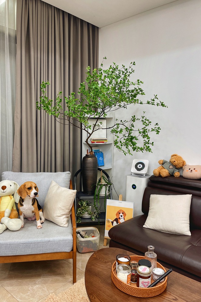 Đủ sức mua nhà trước 30 tuổi, Ninh Tito vẫn ở thuê 25 triệu/tháng - Ảnh 2.