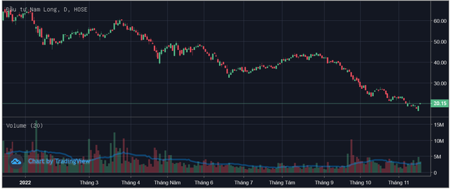 Giá cổ phiếu lao dốc, hàng loạt lãnh đạo doanh nghiệp mua vào để “đỡ giá” - Ảnh 2. Giá cổ phiếu lao dốc, hàng loạt lãnh đạo doanh nghiệp mua vào để “đỡ giá” - Ảnh 2.