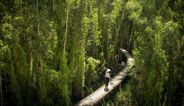 Những con đường được tín đồ du lịch đánh giá là đẹp nhất Việt Nam - Ảnh 3.