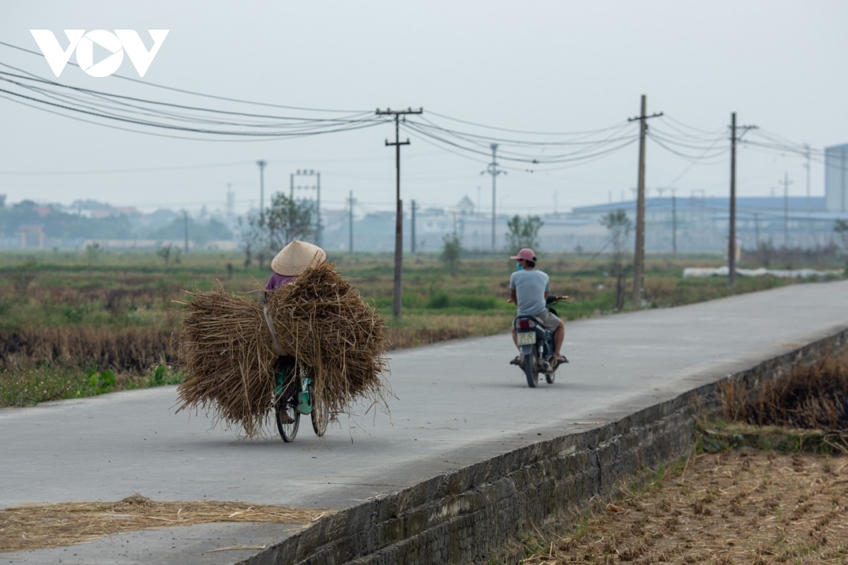 Nông dân ngoại thành Hà Nội đốt rơm rạ, khói mù mịt bủa vây người đi đường - Ảnh 4.