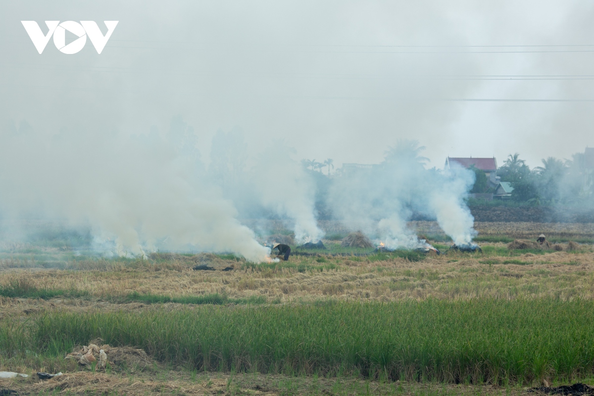 Nông dân ngoại thành Hà Nội đốt rơm rạ, khói mù mịt bủa vây người đi đường - Ảnh 2.