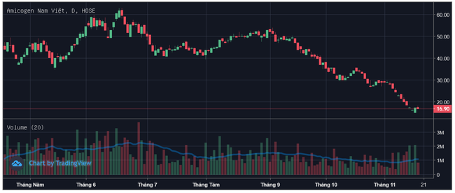 Giá cổ phiếu lao dốc, hàng loạt lãnh đạo doanh nghiệp mua vào để “đỡ giá” - Ảnh 1. Giá cổ phiếu lao dốc, hàng loạt lãnh đạo doanh nghiệp mua vào để “đỡ giá” - Ảnh 1.