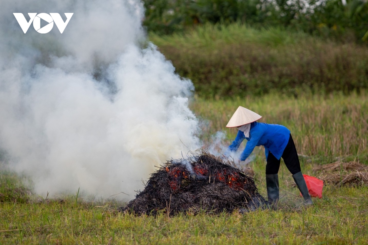 Nông dân ngoại thành Hà Nội đốt rơm rạ, khói mù mịt bủa vây người đi đường - Ảnh 10.