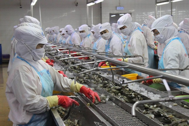 Lý do không ngờ khiến doanh nghiệp Việt mất trắng đơn hàng rất lớn từ Mỹ - Ảnh 2. Lý do không ngờ khiến doanh nghiệp Việt mất trắng đơn hàng rất lớn từ Mỹ - Ảnh 2.