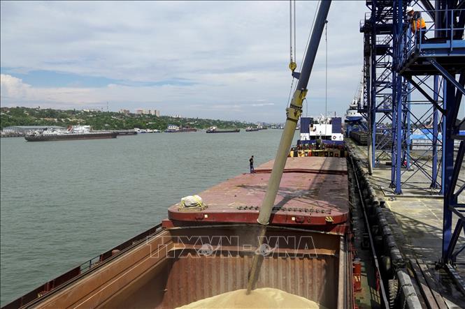 Nguồn cung lương thực sẽ ra sao sau khi Nga rút khỏi thỏa thuận ngũ cốc với Ukraine? - Ảnh 1. Nguồn cung lương thực sẽ ra sao sau khi Nga rút khỏi thỏa thuận ngũ cốc với Ukraine? - Ảnh 1.