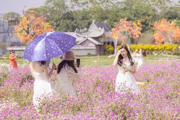 Young people eagerly check-in the romantic purple cypress flower season in the heart of Hanoi - Photo 10.