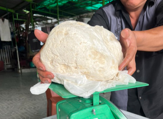 Ngư dân vớt được vật lạ nghi là long diên hương quý hiếm - Ảnh 4. Ngư dân vớt được vật lạ nghi là long diên hương quý hiếm - Ảnh 4.