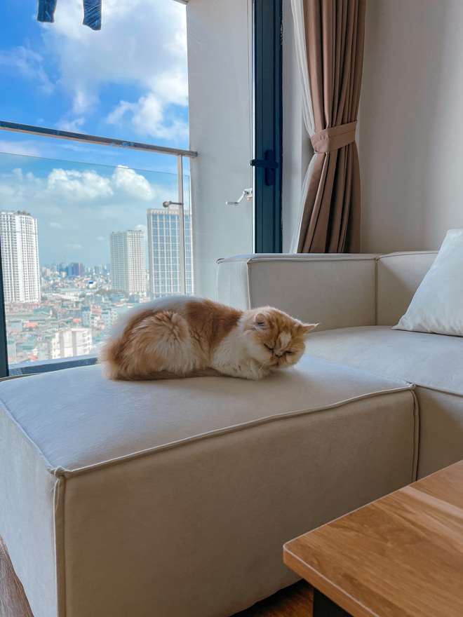 Cặp đôi ở thuê mỗi tháng “tốn 1 cái xe máy”, tiền của anh cũng là của em - Ảnh 4.