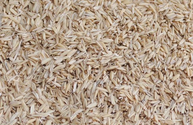 Phụ phẩm từ cây lúa: Mỏ vàng vẫn còn bỏ ngỏ - Ảnh 3.