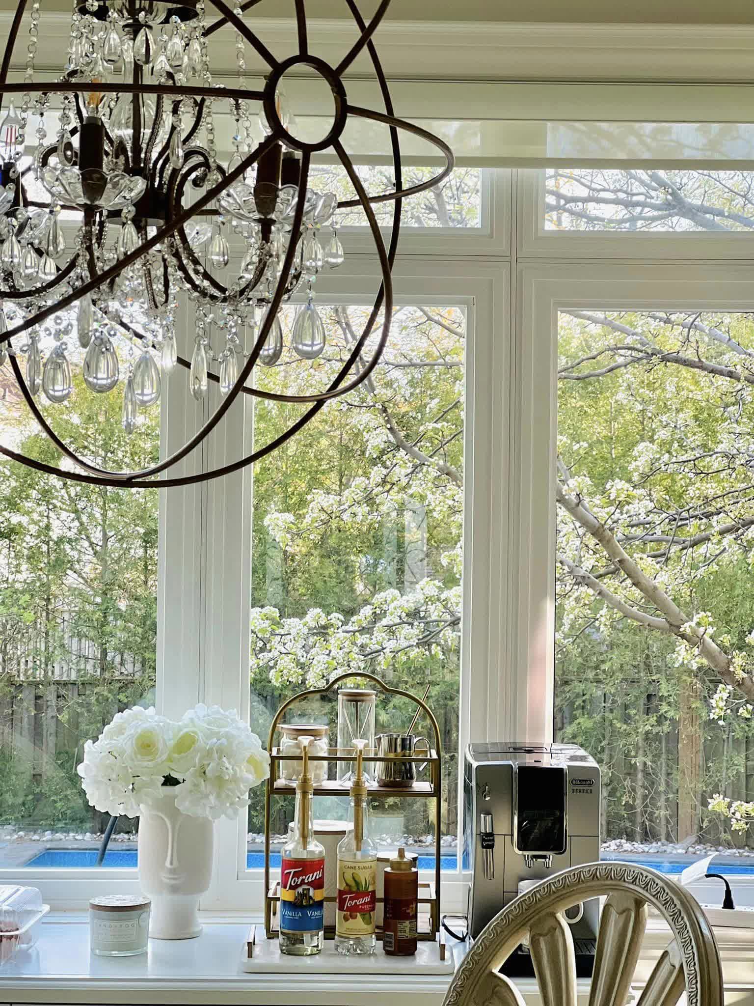 カナダのベトナム人家族が持っている50のアパートを見る 