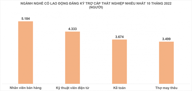 Ngành nghề nào có lao động mất việc nhiều nhất tại Hà Nội? - Ảnh 1.