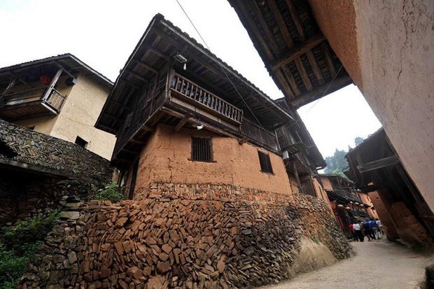 Ngôi làng nằm giữa ao tù nước đọng nhưng hơn 100 năm không có muỗi ở Trung Quốc - Ảnh 1.