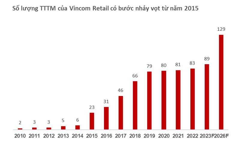 Vincom Retail - Từ chinh phục ‘bán lẻ dưới lòng đất’ đến dẫn dắt ngành BĐS bán lẻ Việt Nam - Ảnh 1.