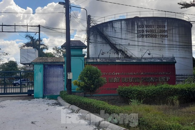 Chủ ghe mía như ‘ngồi trên đống lửa’ chờ nhà máy đường nhập hàng - Ảnh 10.