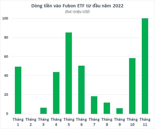 Fubon ETF chuẩn bị “bơm” thêm 4.000 tỷ đồng mua cổ phiếu Việt Nam - Ảnh 2.