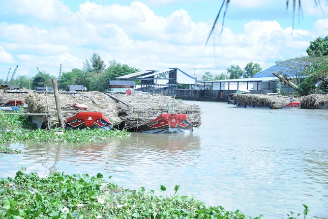 Chủ ghe mía như ‘ngồi trên đống lửa’ chờ nhà máy đường nhập hàng - Ảnh 1.