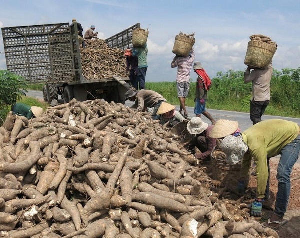 Vài trường hợp gian lận hoàn thuế, sao để nhiều doanh nghiệp bị “vạ lây”? - Ảnh 1.