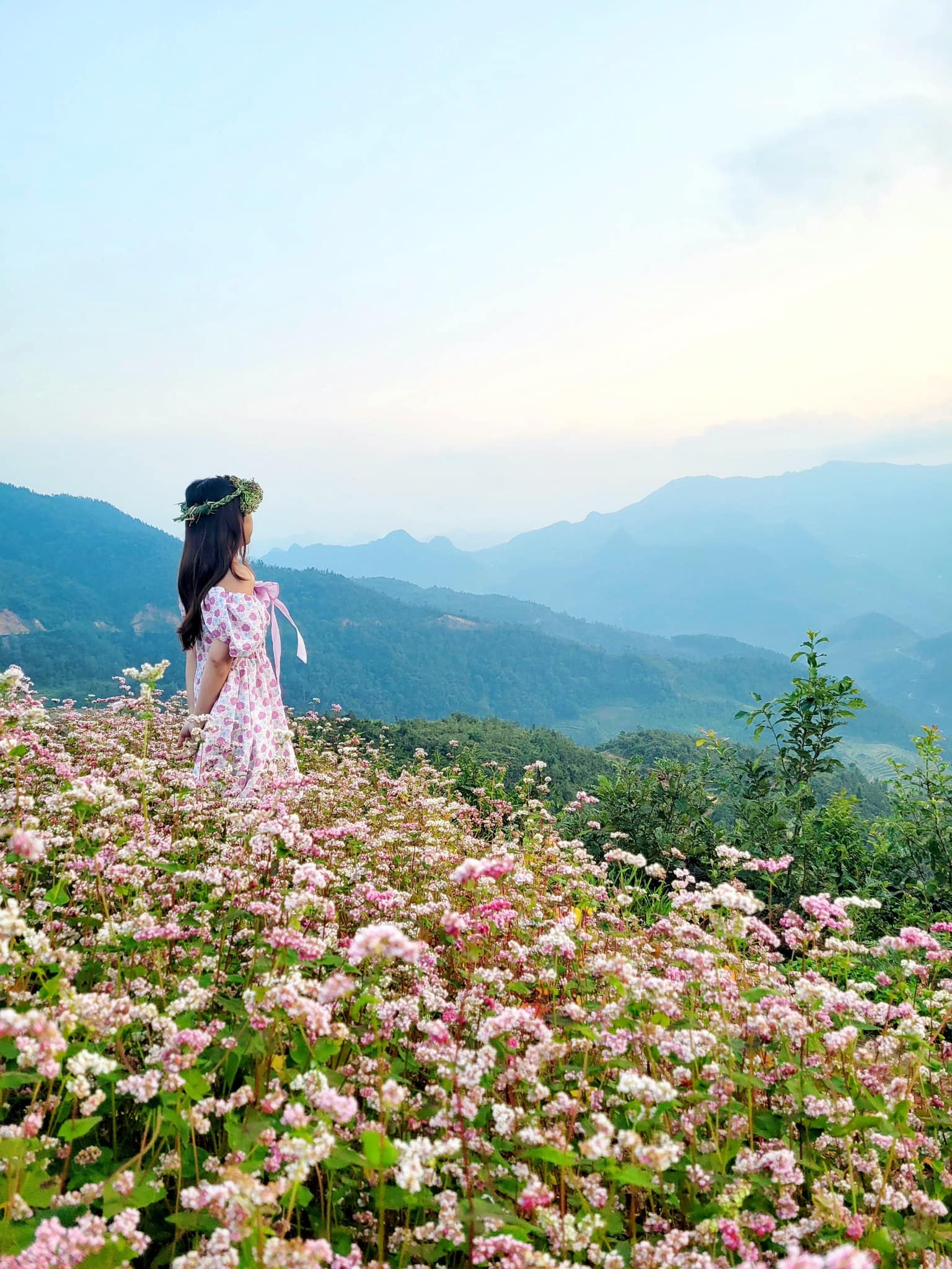 Vì sao Hà Giang lúc này đang chật kín vì lượng khách lớn từ khắp nơi đổ về? - Ảnh 23. Vì sao Hà Giang lúc này đang chật kín vì lượng khách lớn từ khắp nơi đổ về? - Ảnh 23.