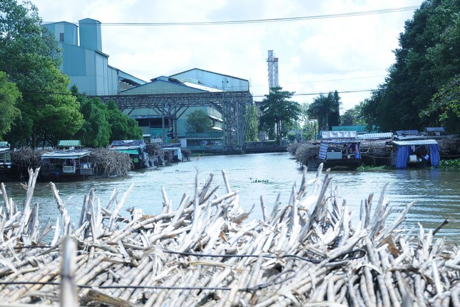 Chủ ghe mía như ‘ngồi trên đống lửa’ chờ nhà máy đường nhập hàng - Ảnh 6.
