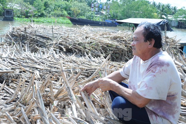 Chủ ghe mía như ‘ngồi trên đống lửa’ chờ nhà máy đường nhập hàng - Ảnh 5.
