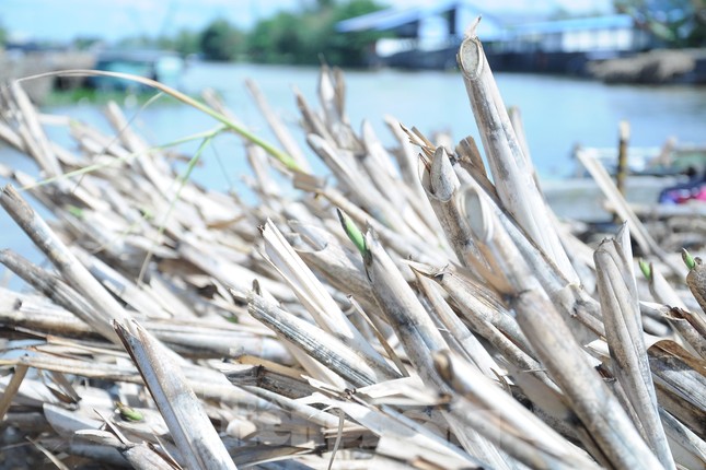 Chủ ghe mía như ‘ngồi trên đống lửa’ chờ nhà máy đường nhập hàng - Ảnh 4.
