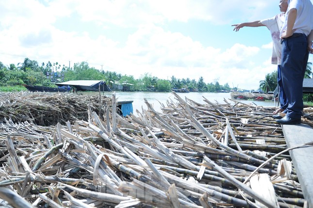 Chủ ghe mía như ‘ngồi trên đống lửa’ chờ nhà máy đường nhập hàng - Ảnh 3.