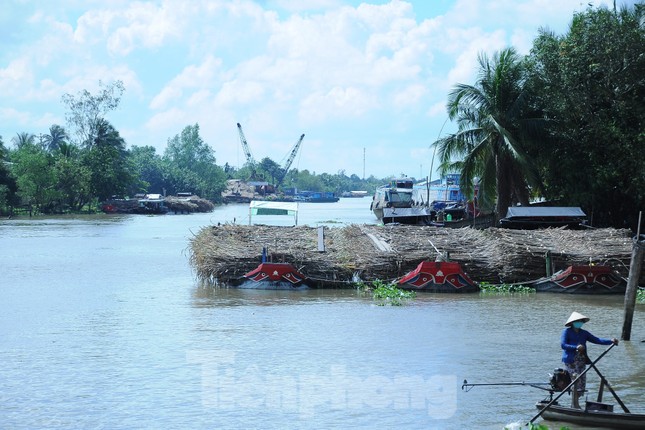 Chủ ghe mía như ‘ngồi trên đống lửa’ chờ nhà máy đường nhập hàng - Ảnh 2.
