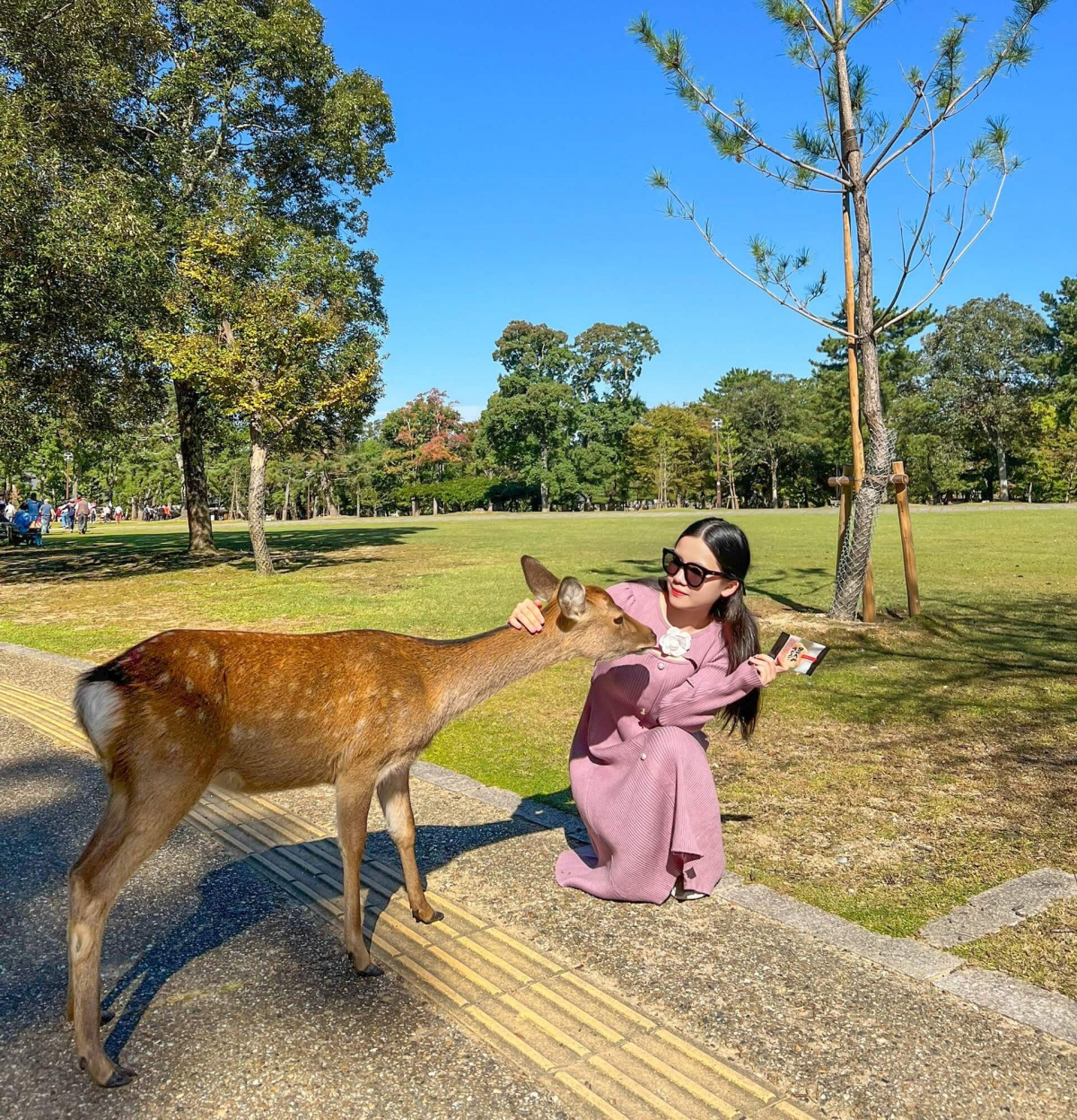Nữ travel blogger gợi ý 3 địa danh Nhật Bản hợp với khách Việt - Ảnh 6. Nữ travel blogger gợi ý 3 địa danh Nhật Bản hợp với khách Việt - Ảnh 6.