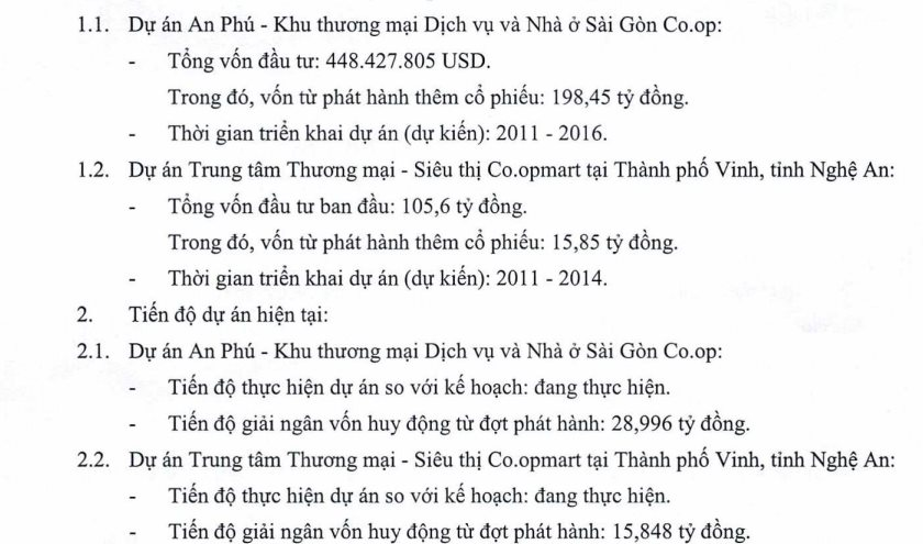 Dự án gần 450 triệu USD ở TP.HCM của SCID tiếp tục được bơm tiền - Ảnh 1.