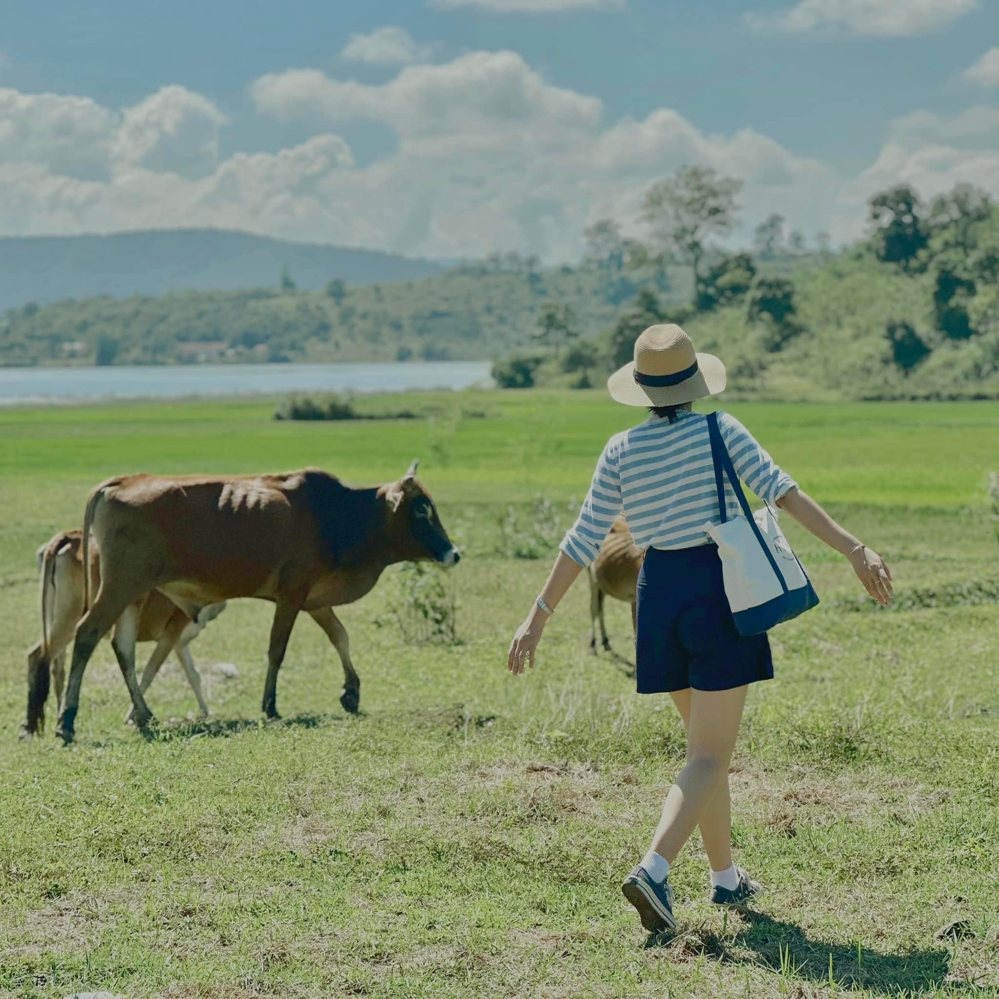 Lịch trình 3 ngày 2 đêm cho chuyến du lịch cuối năm, tận hưởng trọn vẹn cảnh sắc Đắk Lắk trong mùa đẹp nhất - Ảnh 12. Lịch trình 3 ngày 2 đêm cho chuyến du lịch cuối năm, tận hưởng trọn vẹn cảnh sắc Đắk Lắk trong mùa đẹp nhất - Ảnh 12.