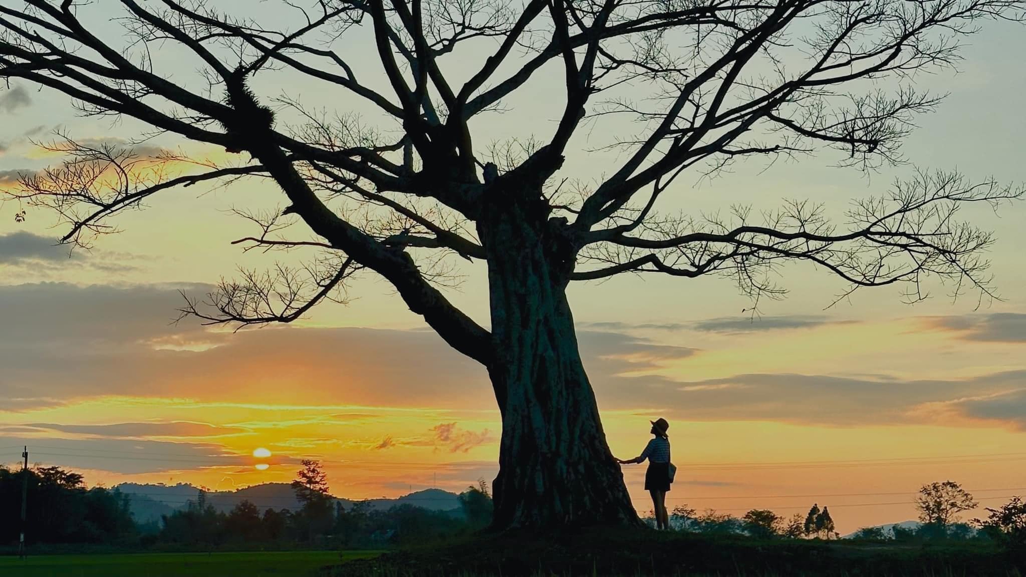 Lịch trình 3 ngày 2 đêm cho chuyến du lịch cuối năm, tận hưởng trọn vẹn cảnh sắc Đắk Lắk trong mùa đẹp nhất - Ảnh 10. Lịch trình 3 ngày 2 đêm cho chuyến du lịch cuối năm, tận hưởng trọn vẹn cảnh sắc Đắk Lắk trong mùa đẹp nhất - Ảnh 10.