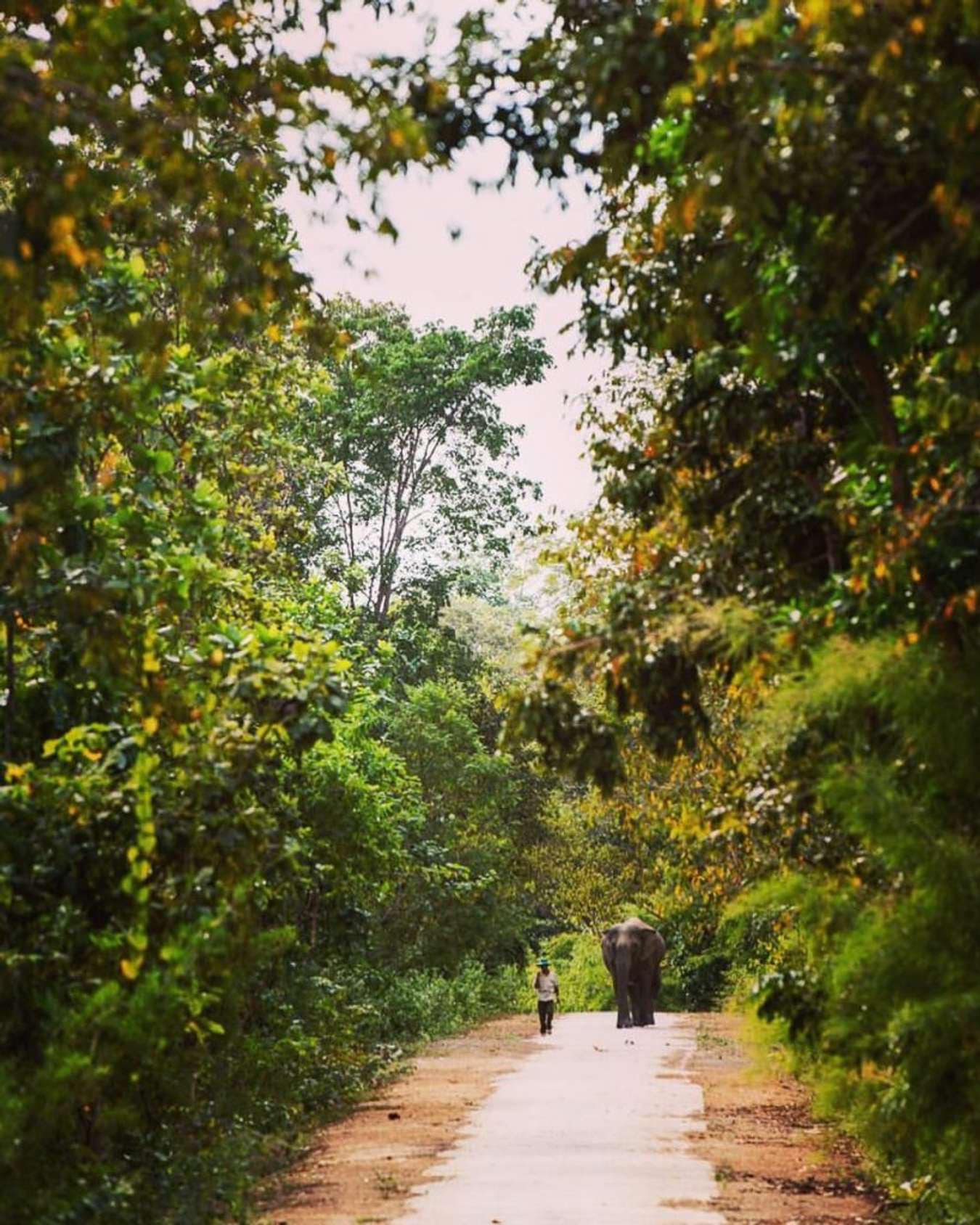 Lịch trình 3 ngày 2 đêm cho chuyến du lịch cuối năm, tận hưởng trọn vẹn cảnh sắc Đắk Lắk trong mùa đẹp nhất - Ảnh 27. Lịch trình 3 ngày 2 đêm cho chuyến du lịch cuối năm, tận hưởng trọn vẹn cảnh sắc Đắk Lắk trong mùa đẹp nhất - Ảnh 27.