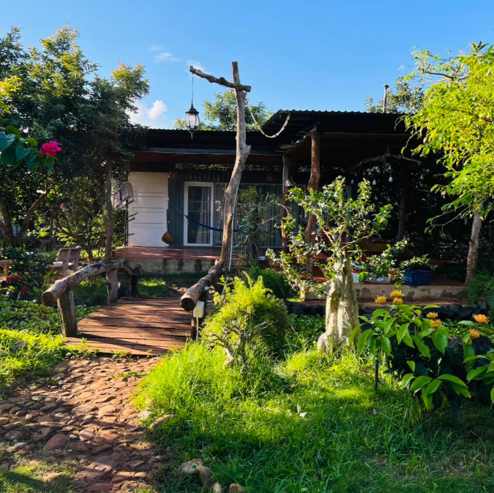 Lịch trình 3 ngày 2 đêm cho chuyến du lịch cuối năm, tận hưởng trọn vẹn cảnh sắc Đắk Lắk trong mùa đẹp nhất - Ảnh 4. Lịch trình 3 ngày 2 đêm cho chuyến du lịch cuối năm, tận hưởng trọn vẹn cảnh sắc Đắk Lắk trong mùa đẹp nhất - Ảnh 4.