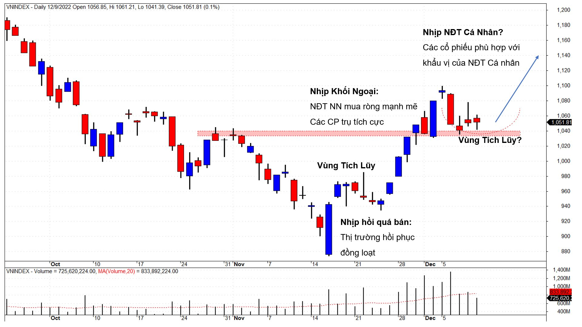 Góc nhìn chuyên gia: Thị trường đã trải qua hai nhịp hồi lớn, con sóng tiếp theo có thể đến từ nhà đầu tư cá nhân - Ảnh 2. Góc nhìn chuyên gia: Thị trường đã trải qua hai nhịp hồi lớn, con sóng tiếp theo có thể đến từ nhà đầu tư cá nhân - Ảnh 2.