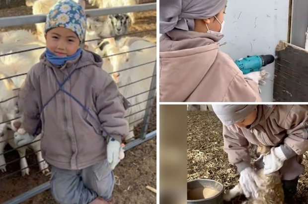  Cậu bé 5 tuổi khiến cư dân mạng Trung Quốc “ngả mũ” thán phục - Ảnh 1.