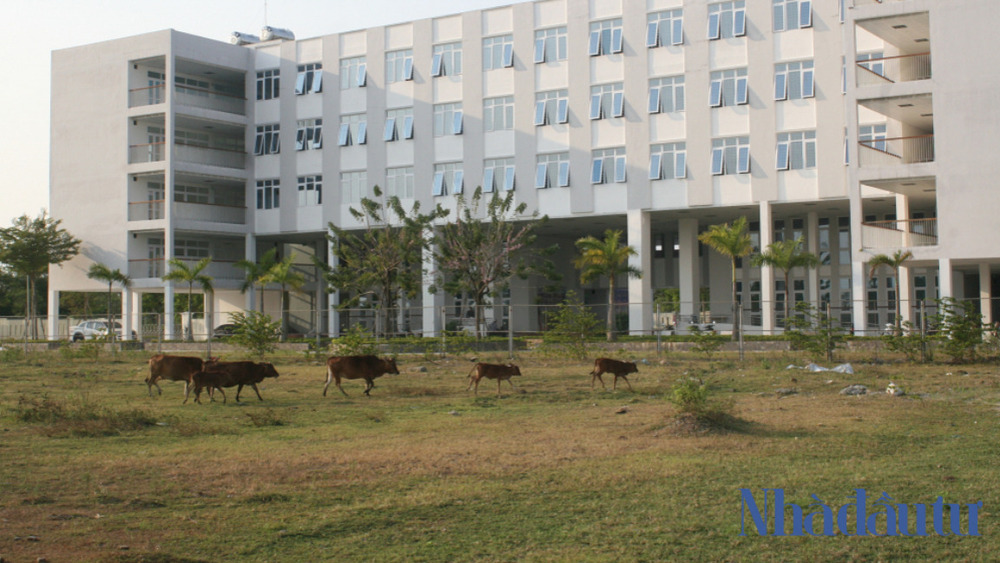 Nhiều dự án ở Đà Nẵng ngâm 20 năm khiến người dân khổ, bức xúc - Ảnh 1.