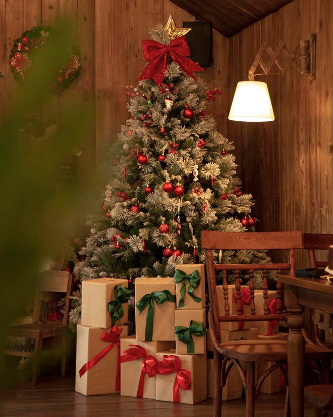 Giới trẻ TP.HCM chụp ảnh Giáng sinh rần rần tại các quán cà phê phong cách cổ điển phương Tây - Ảnh 17.