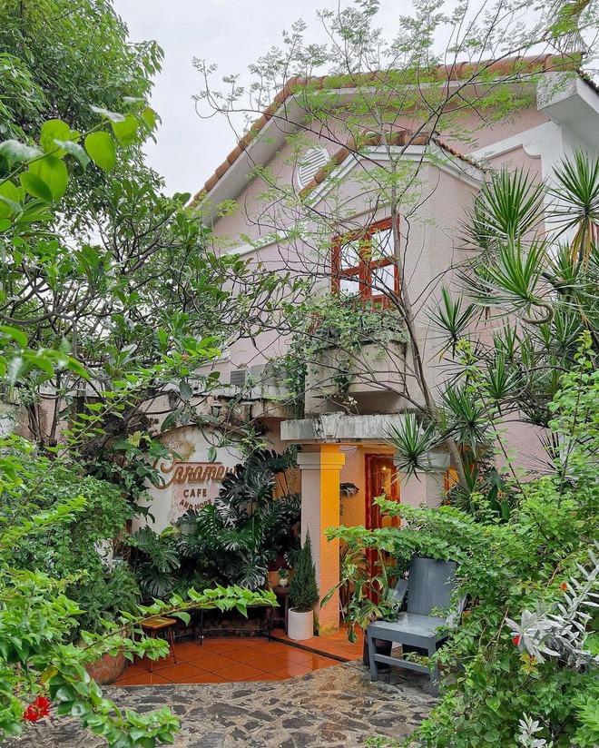 Giới trẻ TP.HCM chụp ảnh Giáng sinh rần rần tại các quán cà phê phong cách cổ điển phương Tây - Ảnh 11.