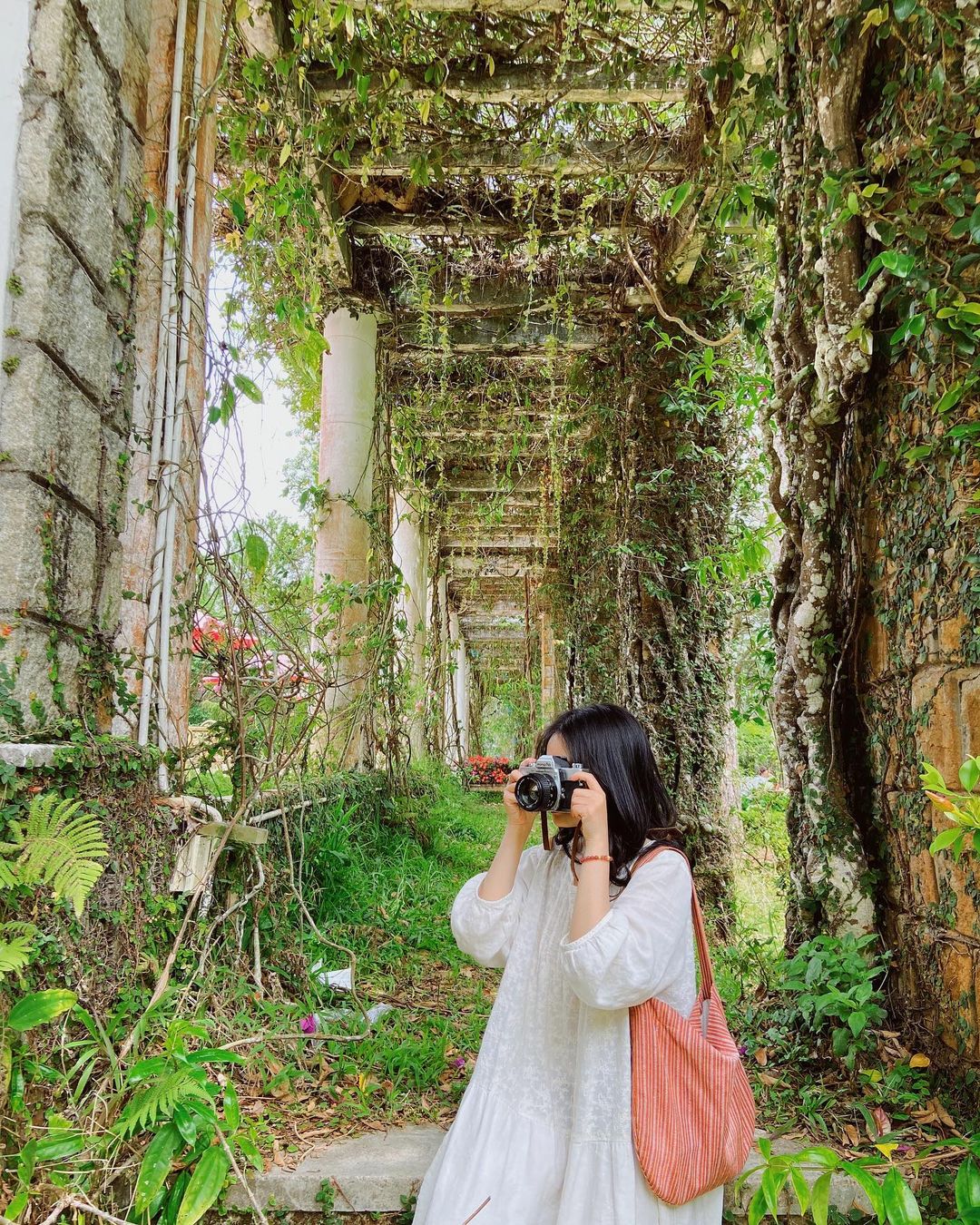 Du khách đến Đà Lạt bắt đầu chuộng tham quan các ngôi biệt thự cổ thay cho quán cà phê giữa núi rừng - Ảnh 5. Du khách đến Đà Lạt bắt đầu chuộng tham quan các ngôi biệt thự cổ thay cho quán cà phê giữa núi rừng - Ảnh 5.