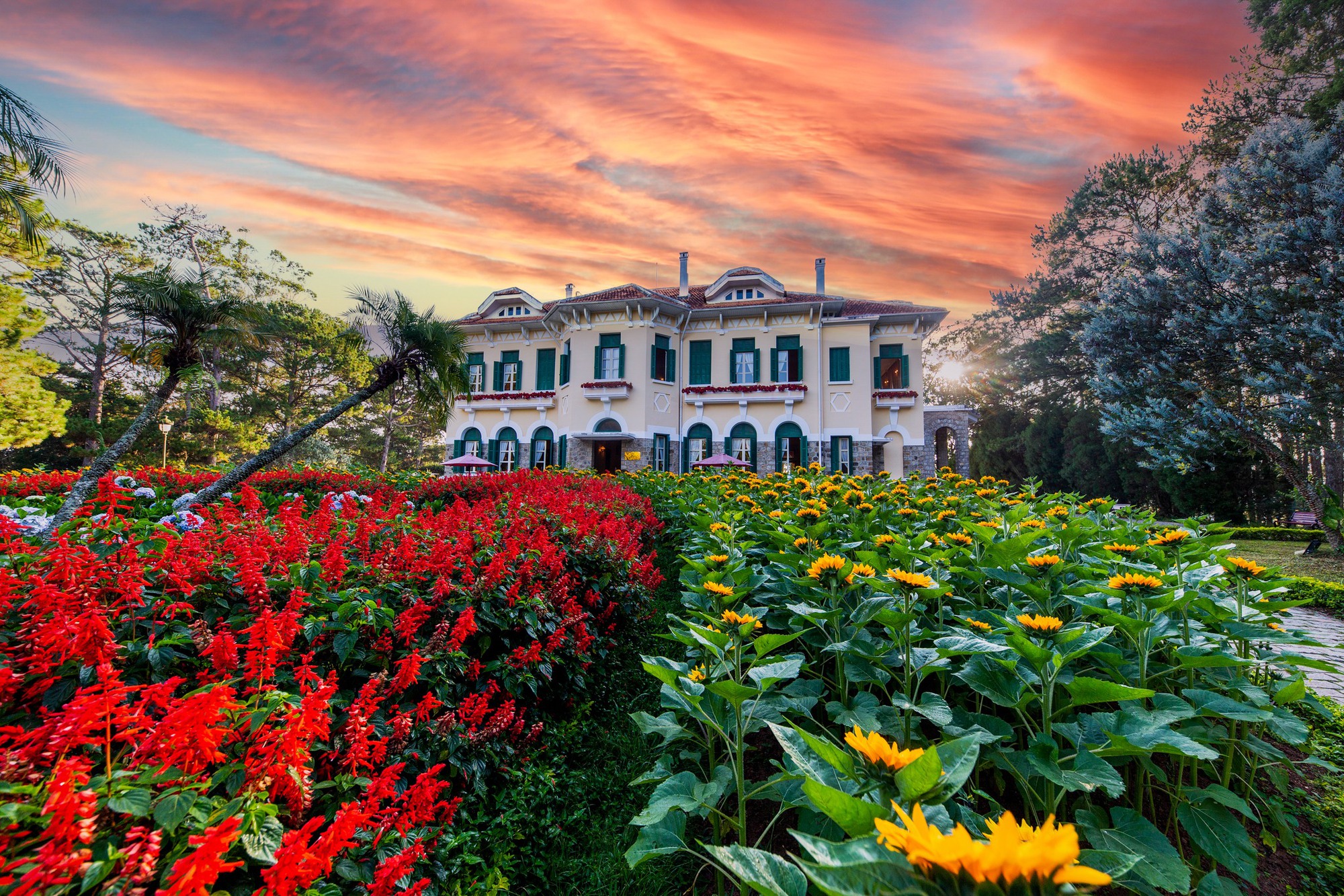 Du khách đến Đà Lạt bắt đầu chuộng tham quan các ngôi biệt thự cổ thay cho quán cà phê giữa núi rừng - Ảnh 3. Du khách đến Đà Lạt bắt đầu chuộng tham quan các ngôi biệt thự cổ thay cho quán cà phê giữa núi rừng - Ảnh 3.