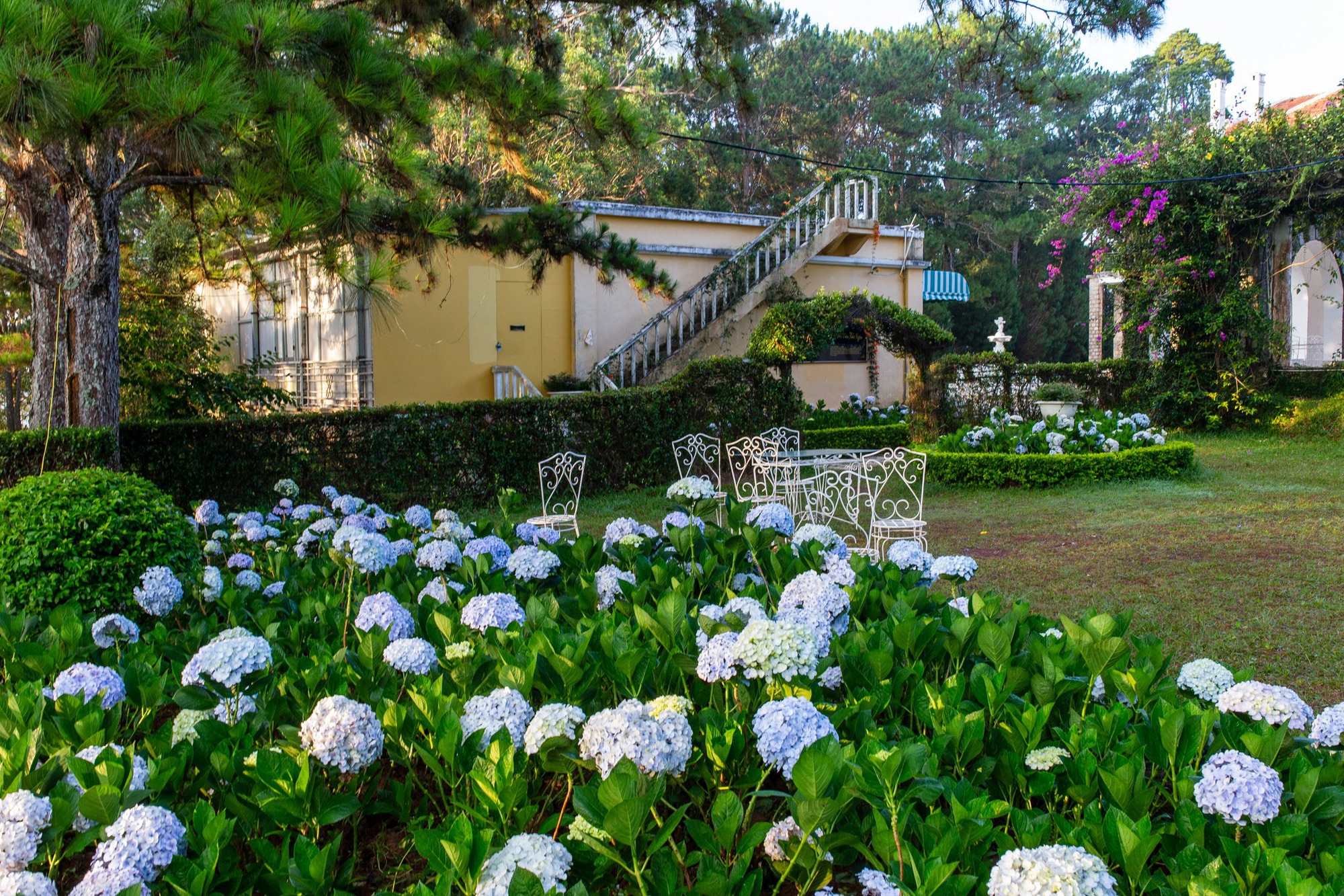 Du khách đến Đà Lạt bắt đầu chuộng tham quan các ngôi biệt thự cổ thay cho quán cà phê giữa núi rừng - Ảnh 1. Du khách đến Đà Lạt bắt đầu chuộng tham quan các ngôi biệt thự cổ thay cho quán cà phê giữa núi rừng - Ảnh 1.