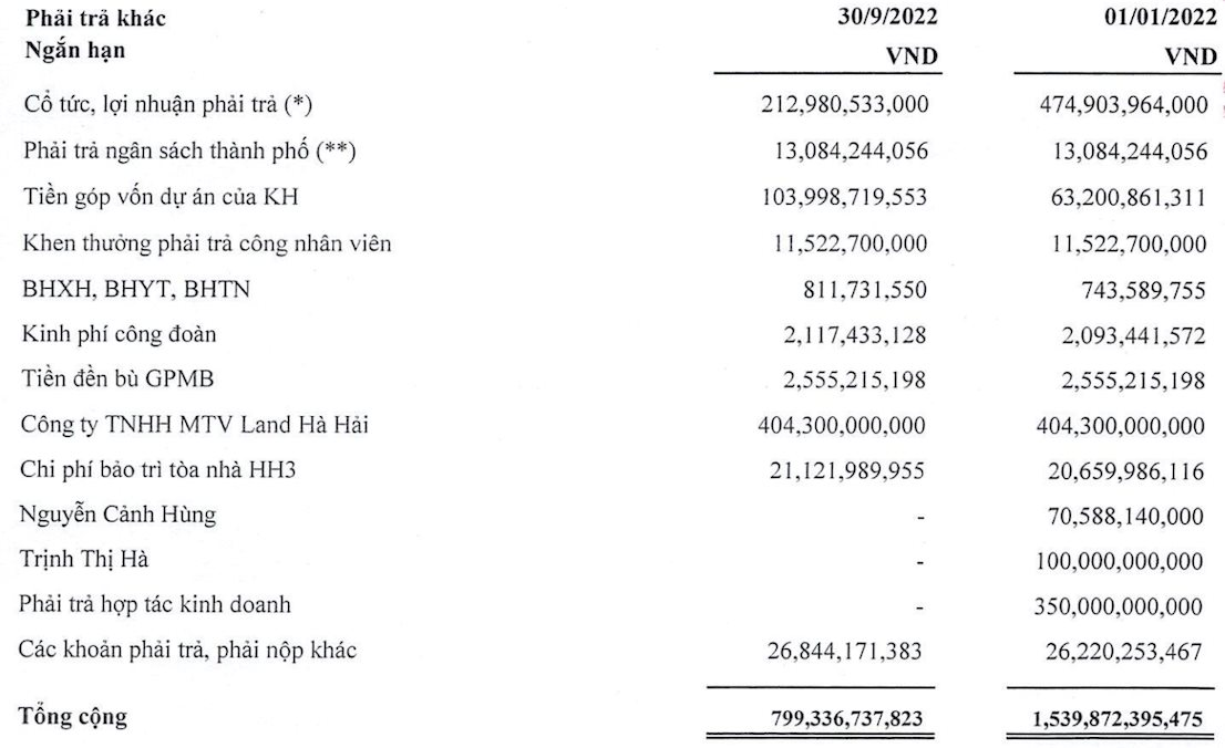 Một doanh nghiệp bất động sản “năm lần bảy lượt” khất trả cổ tức - Ảnh 1. Một doanh nghiệp bất động sản “năm lần bảy lượt” khất trả cổ tức - Ảnh 1.
