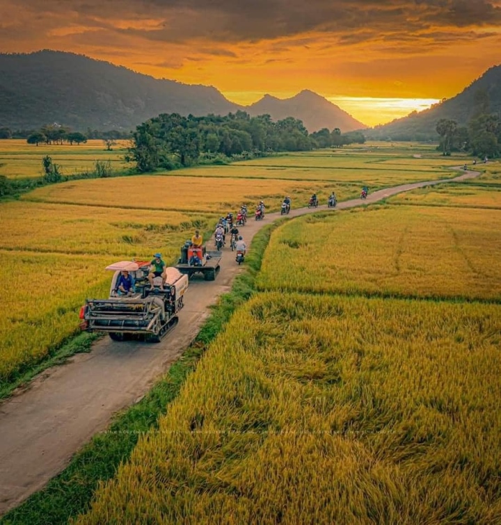 Bức tranh đồng quê xanh ngắt ở ngoại thành Hà Nội | Báo Dân trí